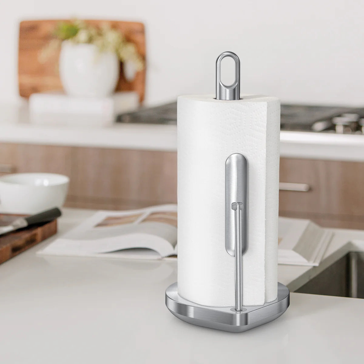 PAPER TOWEL HOLDER BRUSHED